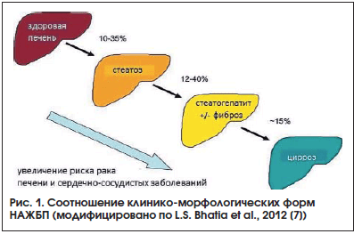 Рис. 1. Соотношение клинико-морфологических форм НАЖБП (модифицировано по L.S. Bhatia et al., 2012 [7])
